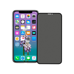 Screen Protector Tempered Glass Privacy iPhone 12 Pro Max Screen Protector Tempered Glass Privacy iPhone 12 Pro Max